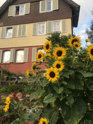 Sonnige Ferienwohnung Schramberg Zewnętrze zdjęcie
